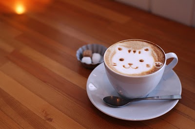 El café alarga la vida de los gatos 