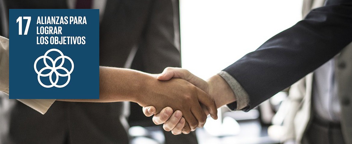 ODS 17: alianzas para lograr los objetivos | Ayuda en Acción